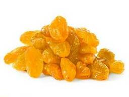Золотой изюм (Golden raisins)