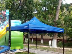 Зонтики шатерные