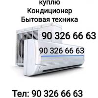 Shoimov Shukurullo Shokir