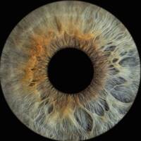 Бессмертная Мария Фаритовна