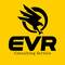 EVR Consulting Service, ЧП