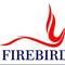 FIREBIRD, ЧП