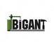 Bigant, ЧП