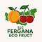 LLC FERGANA ECO FRUCT, ООО